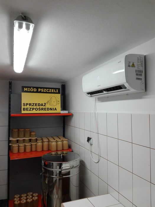 6 x MIÓD Rzepakowy z 2025r