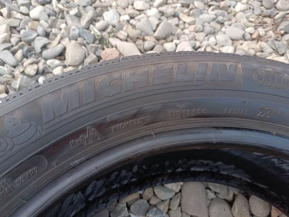 245.50.18 Michelin Pilot Alpin 2 шт