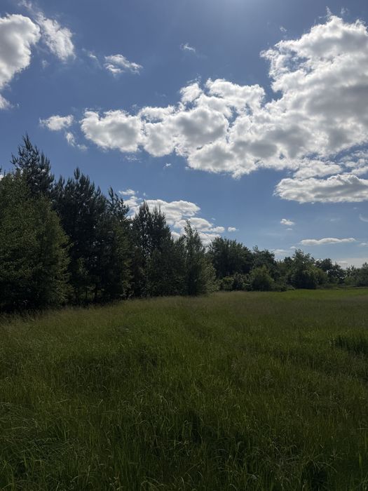 Продається земельна ділянка біла лісу