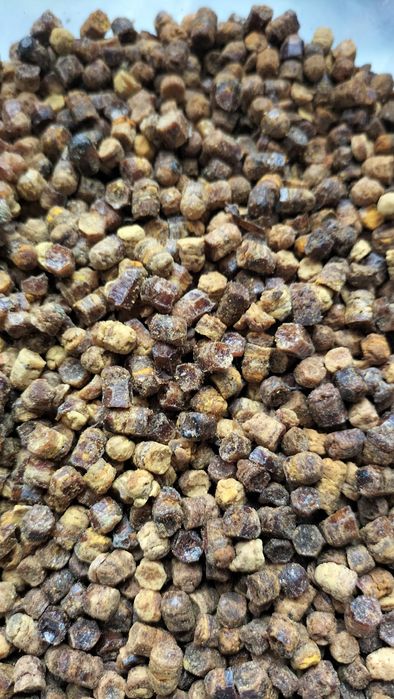 Перга бджолина з рамок