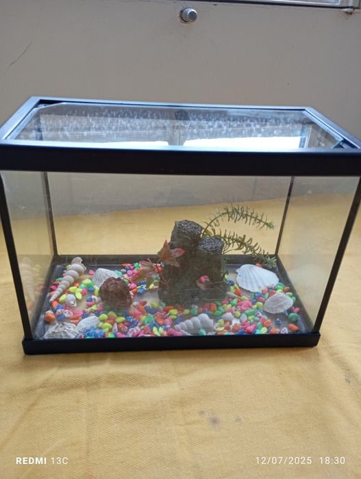 Aquário 15cm, por22