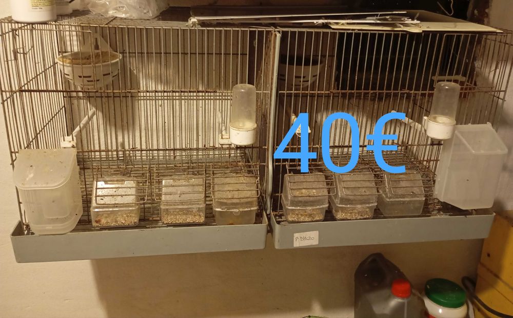 Vendo gaiolas em bom estado