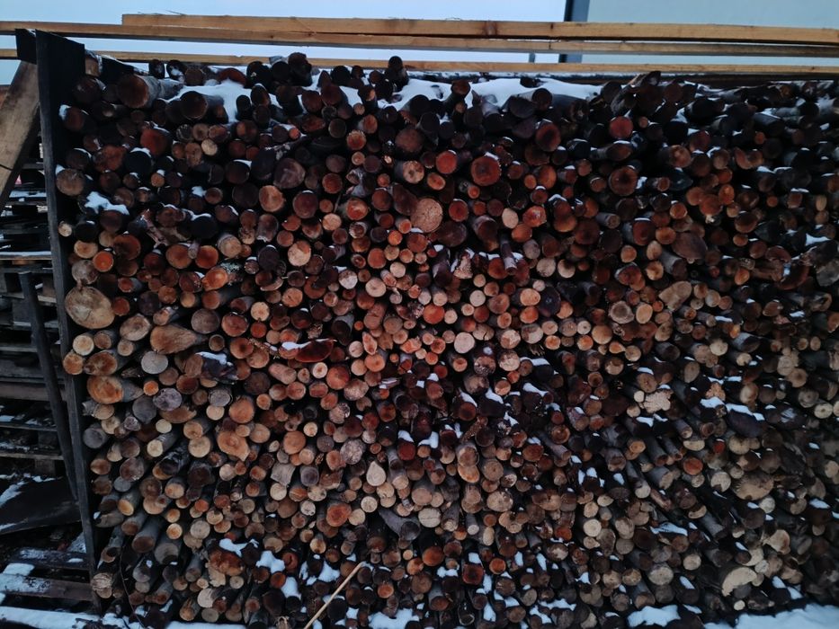 Drewno bukowe . Gałęziówka sucha