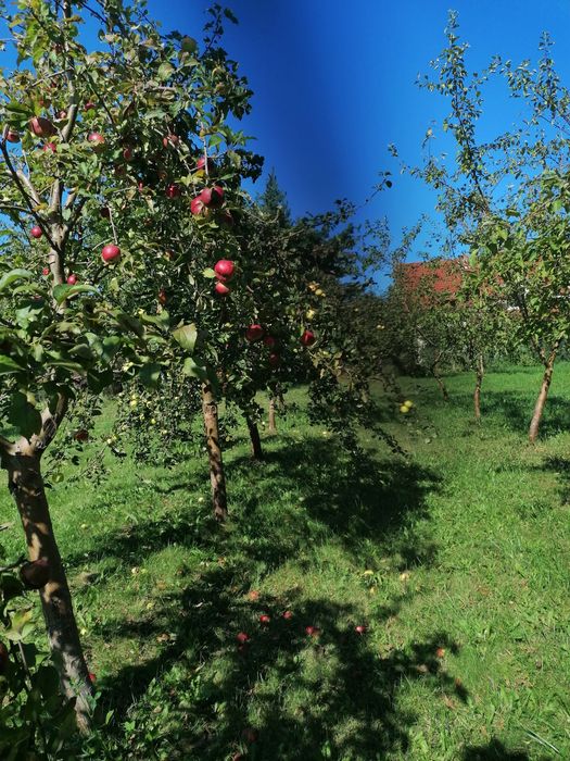 Dzialka Gdansk Osowa