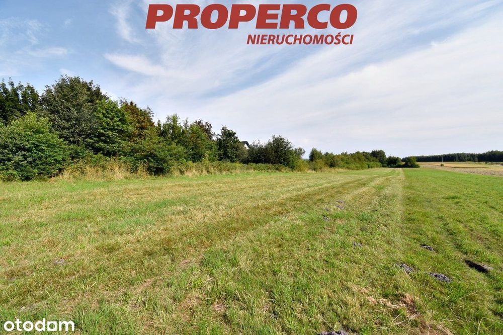 Działka pod Kielcami z Mpzp, 1447 m2, Radlin,Górno