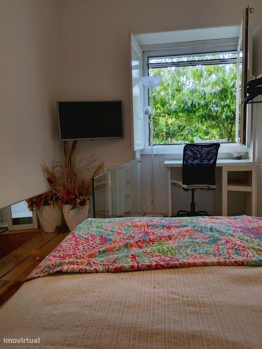 Estúdio - localizado em Alvalade Lisbon
