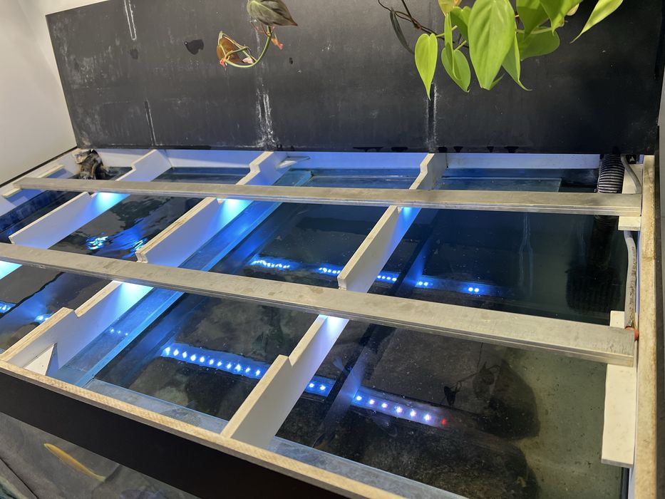 Akwarium 360L 120x60x50