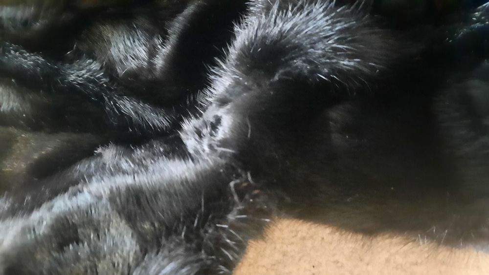 Норкова шуба з кусочків