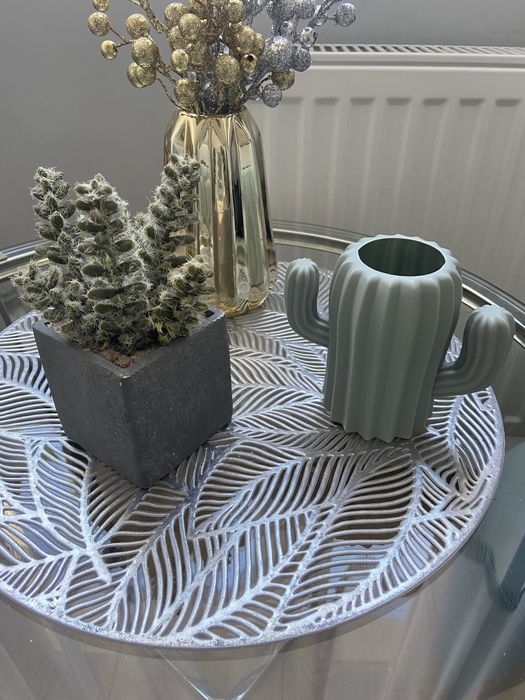 Dekoracje w domu, kaktus i pojemnik