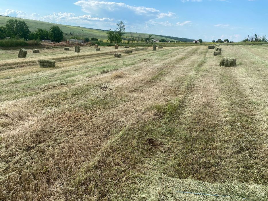 Продам сіно в тюках