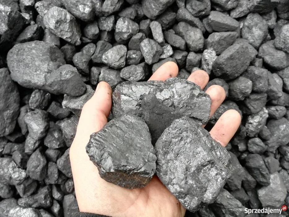 Węgiel Kostka Orzech Groszek ekogroszek