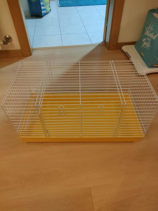 Porquinho da Índia e gaiola