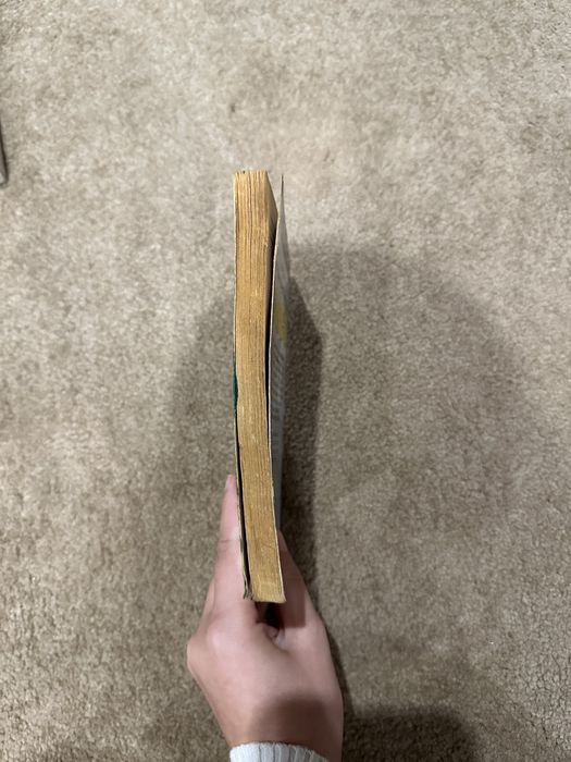 Uma nova aventura dos cinco