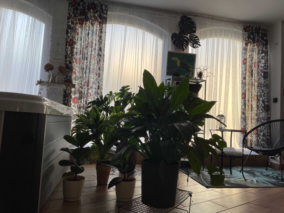 Apartament wySPAne. Jacuzzi, sauna na wyłączność..