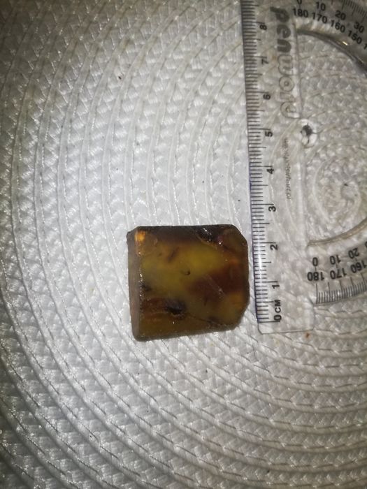 Bursztyn bałtycki 5,9g   (Nr h31)