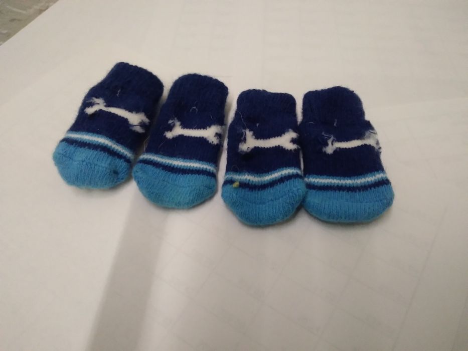 Одяг для маленької собачки 2-4 кг