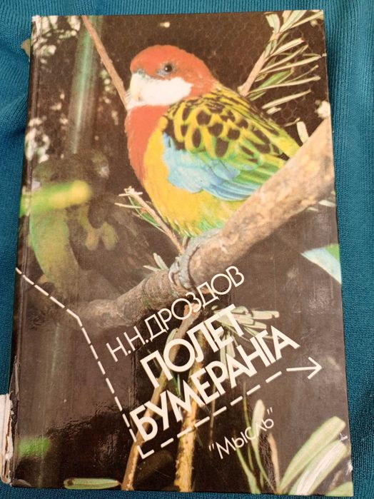 Д. Дроздов. Полет бумеранга
