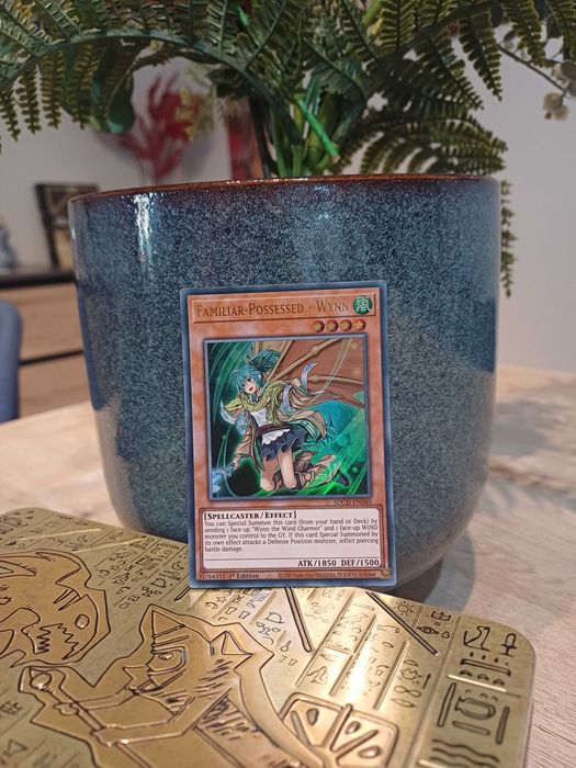 Carta Yu-Gi-Oh! - Familiar-Possessed - Wynn  - 1ª Edição