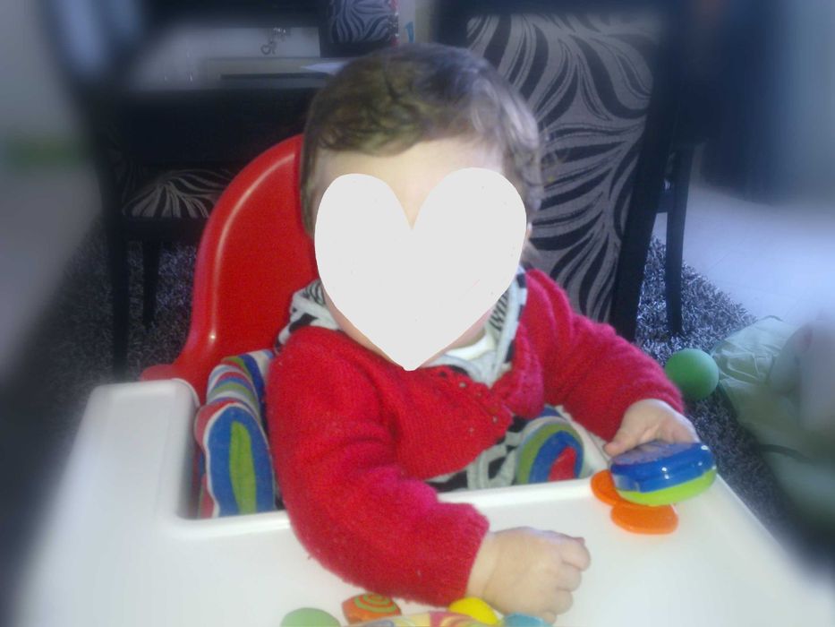 Cadeira de Refeição Alimentação com Tabuleiro, cinto e Almofada