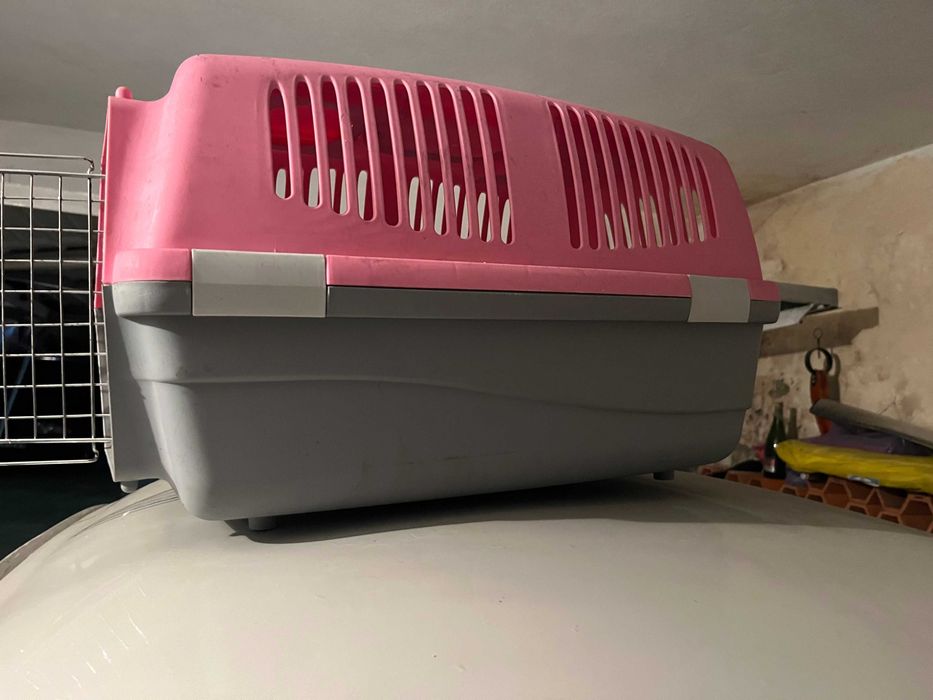 Transportadora de Cães (Box)