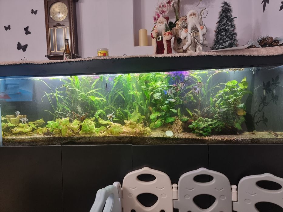 Akwarium  zestaw 720 litrów
