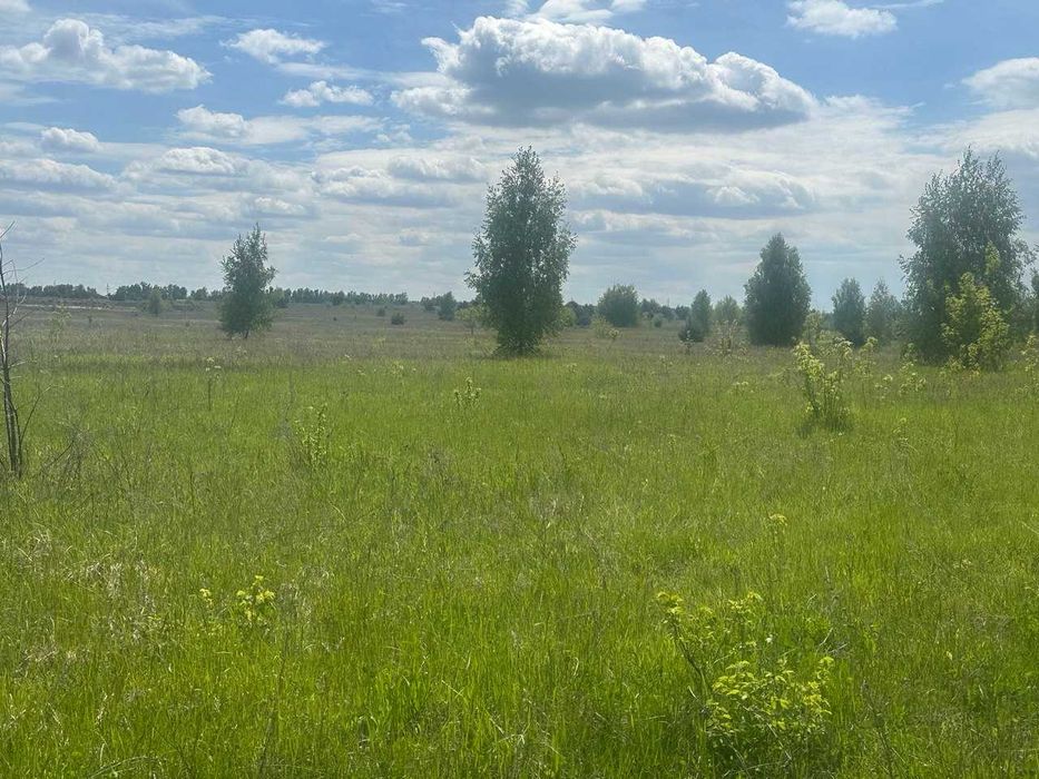 Продам ділянку в Нових Петрівцях. Вишгородський р-н - View 4
