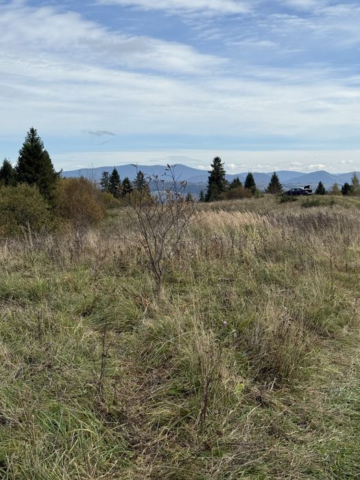 Продається 20 сотих в с. Подобовець