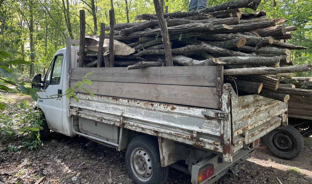 Dąb drewno kominkowe opałowe suche Sosna