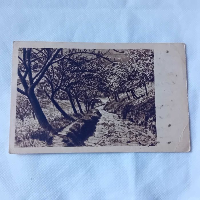 Pocztówka: ścieżka nad strumykiem. III Rzesza.