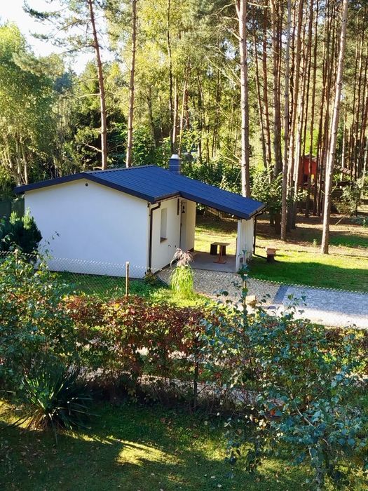 Domek kwatera pokój nocleg w lesie do wynajęcia