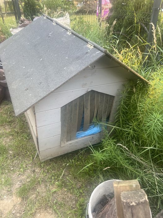 Buda dla psa, ocieplana, oddam za darmo