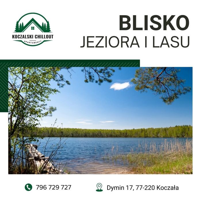 domek/domki całoroczne KASZUBY - BALIE/JACUZZI/SAUNA # Sylwester!