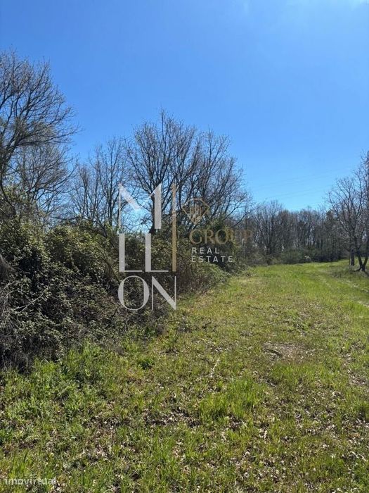 Terreno com 3 hectares às portas da cidade da Guarda