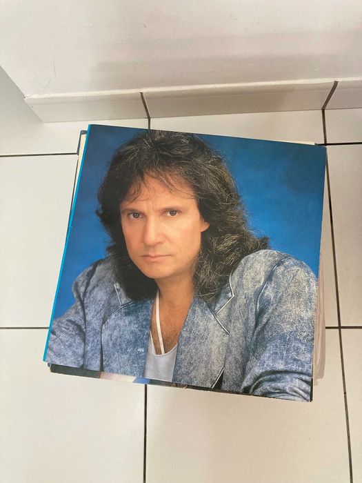 Lote de 50 Discos Vinil LP