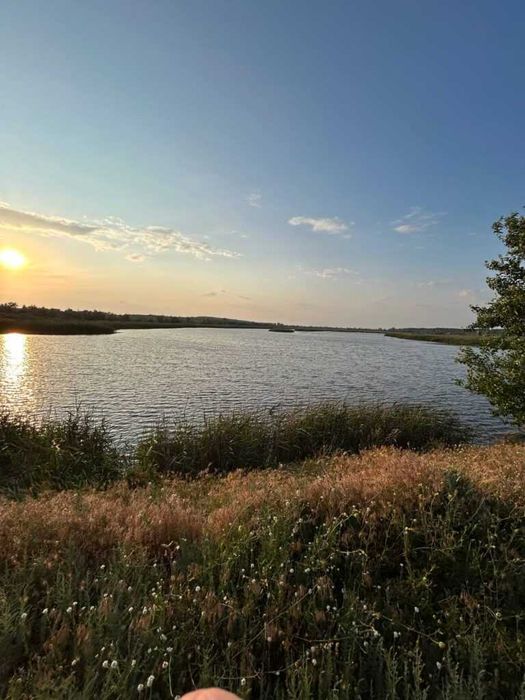 Продаж рибного господарства 504га в с. Куцеволівка
