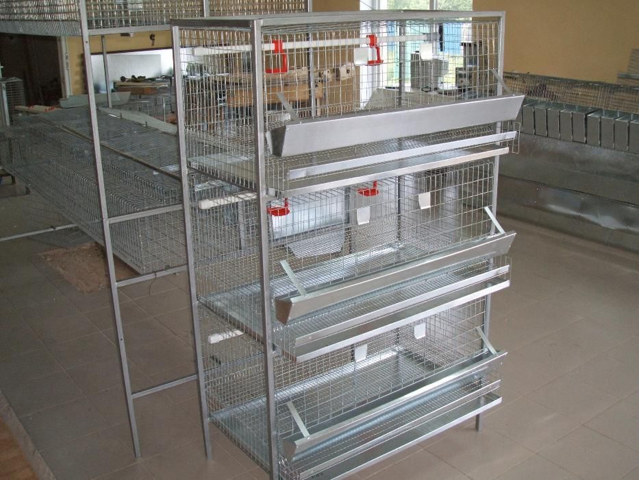 Клетка для кур-несушек