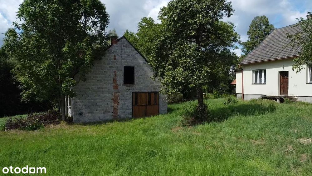 Duża działka z domem i stodołą - 77ar - Widok 4