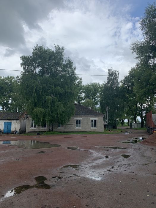 Терміновий !!! продаж виробничих та складських будівль і споруд.