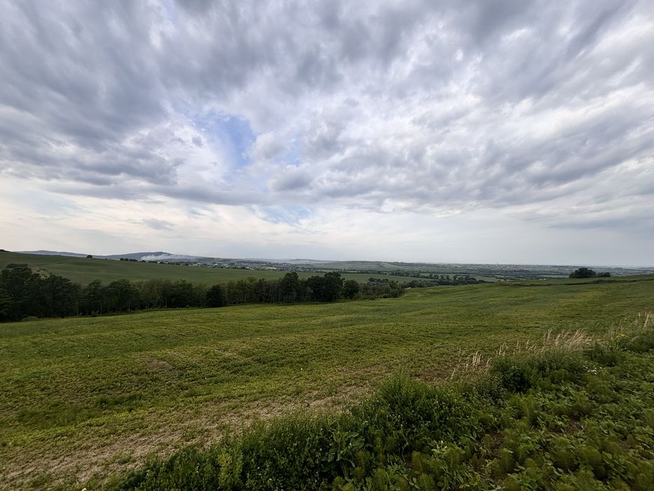 Продаж 26 Га землі с. Снячів (можливо частинами)