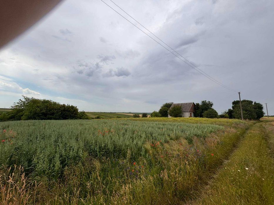 ПРОДАЖ землі  ПІД ЗАБУДОВУ 25сот., с.Забороль/Хутір