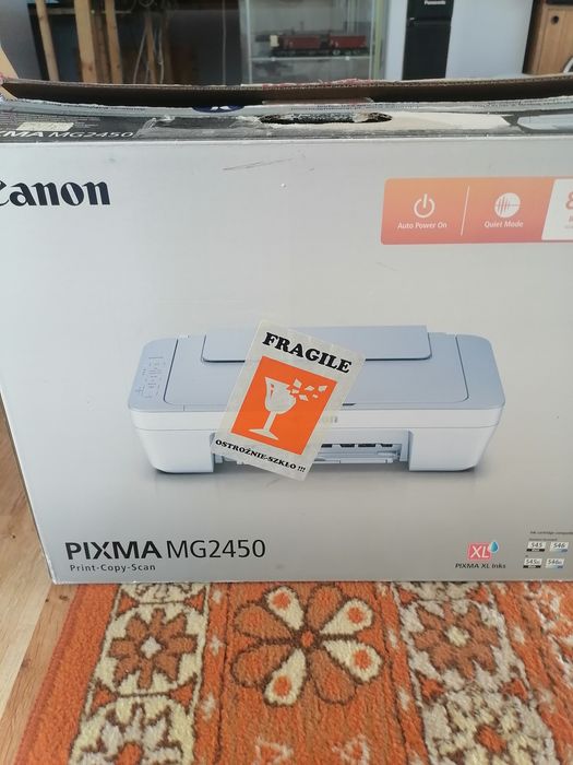 Drukarka canon pixma mg2450 uszkodzona