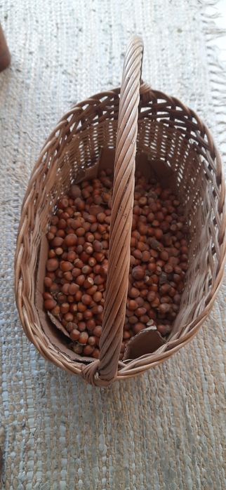 Avelãs biológicas 6,5kg