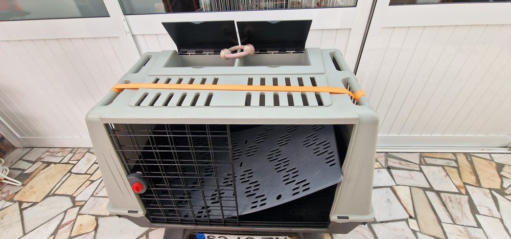 Box de transporte de animais