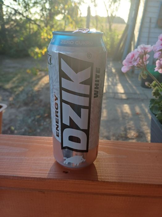 Kaucja DZIK white