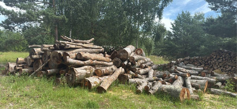 drewno opałowe nowe
