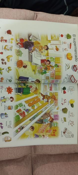 Dicionário Escolar por imagens Espanhol