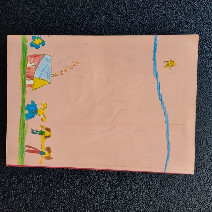 Livro a criança em desenvolvimento