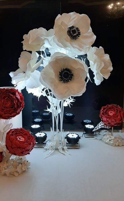 Оренда фотозони,  ростових, великих квітів, м. Свалява Закарпатська