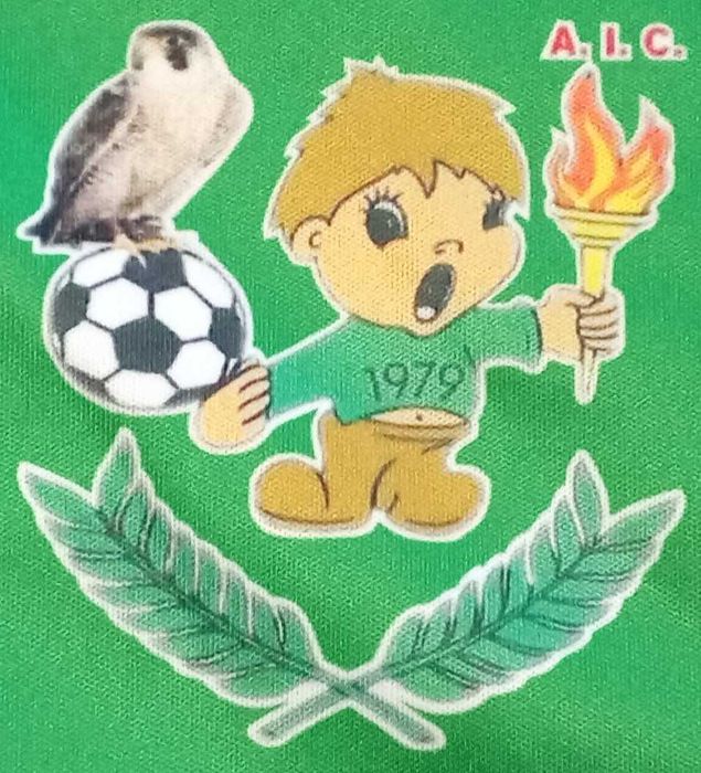 camisola Associaçao Cultural e Desportiva Bairro do Falcao tamanho L