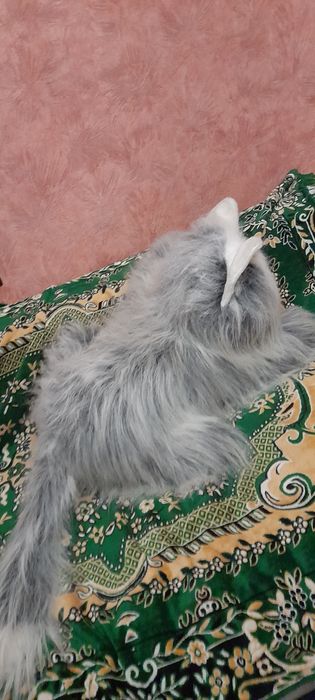 Продам кота мяка іграшка   і миши